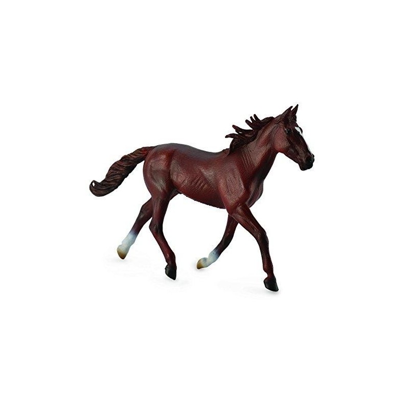 Collecta - Semental Standardbred -...