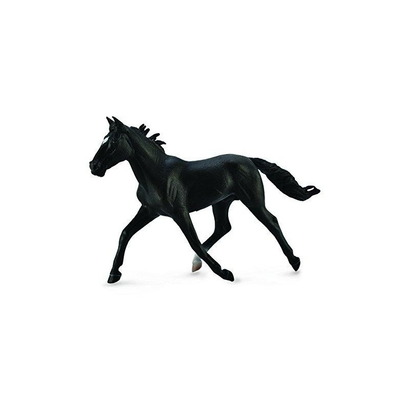 Collecta - Semental Standardbred -...