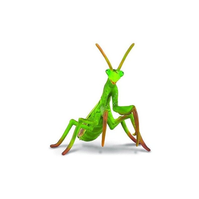 Collecta - Mantis Religiosa -L- 88351...