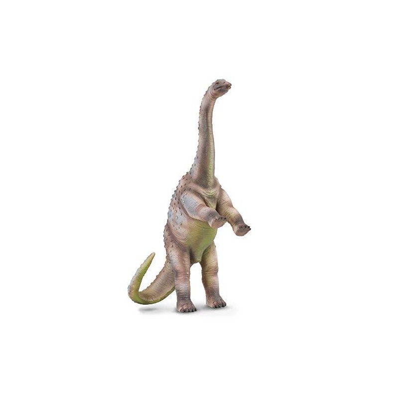 Collecta rhoetosaurus