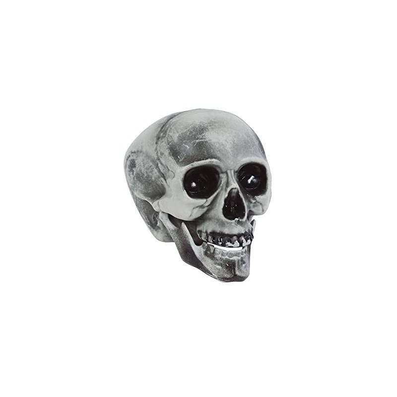 Calavera PVC 20 cms