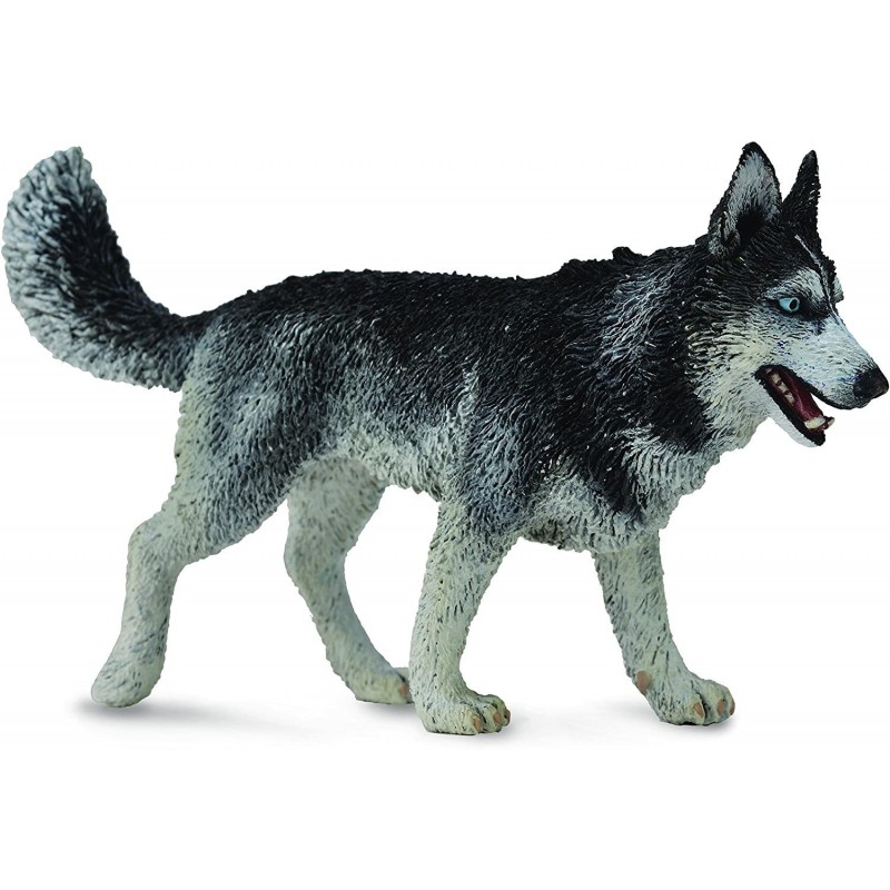 Collecta - Husky Siberiano -L- 88707...