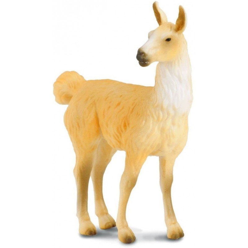 Collecta Llama cifra