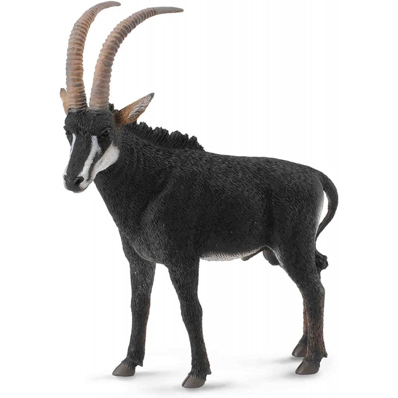 Collecta - Antilope Negro Macho -L-...